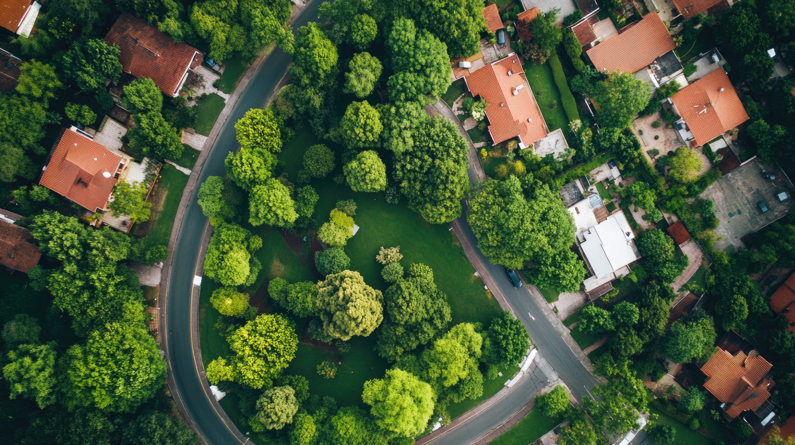 Environmental Planning & Assessment