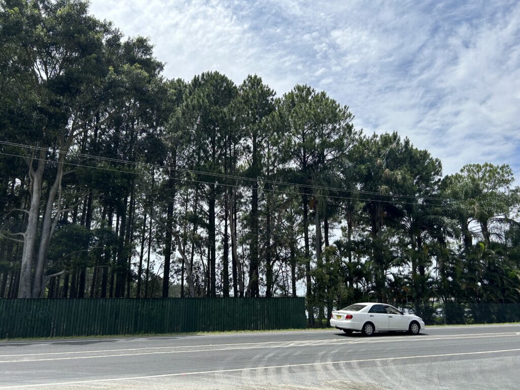 Tweed Coast Road Improvements – Sections 5 & 6